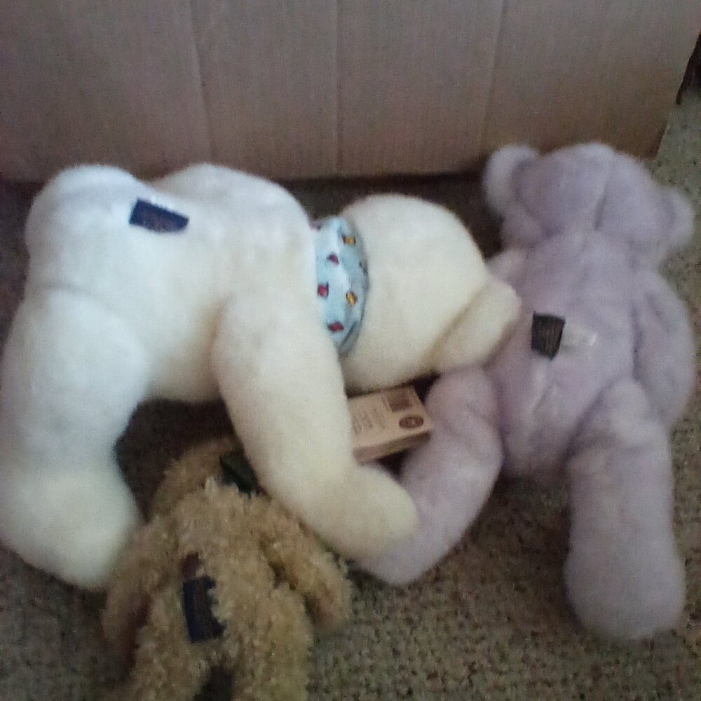 Boyd's bears - Picture 2 of 2